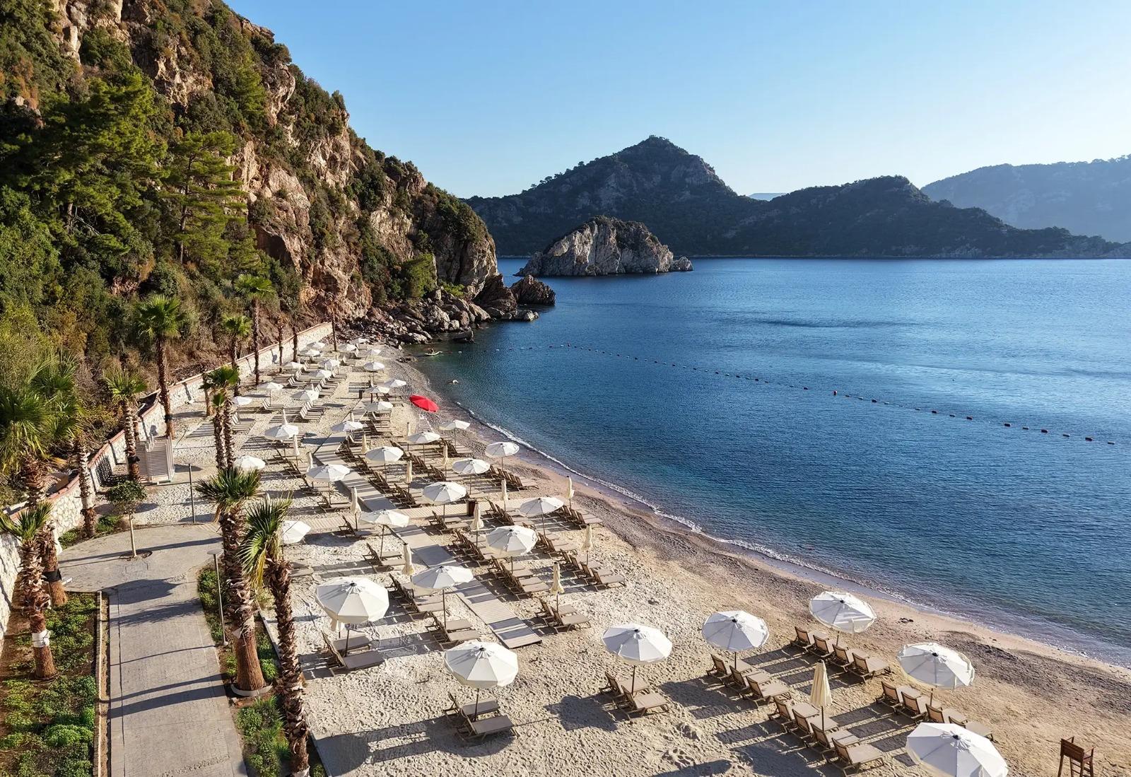 Çam ormanı ve deniz manzarası